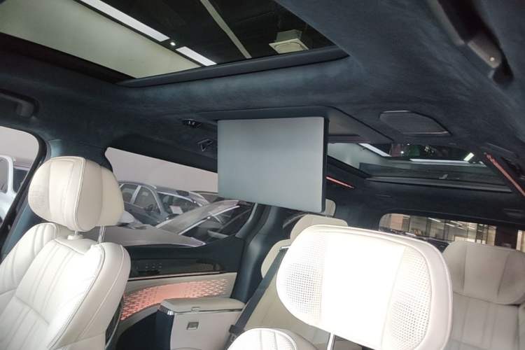 Used Zeekr 009 2022 WE Edition Headliner