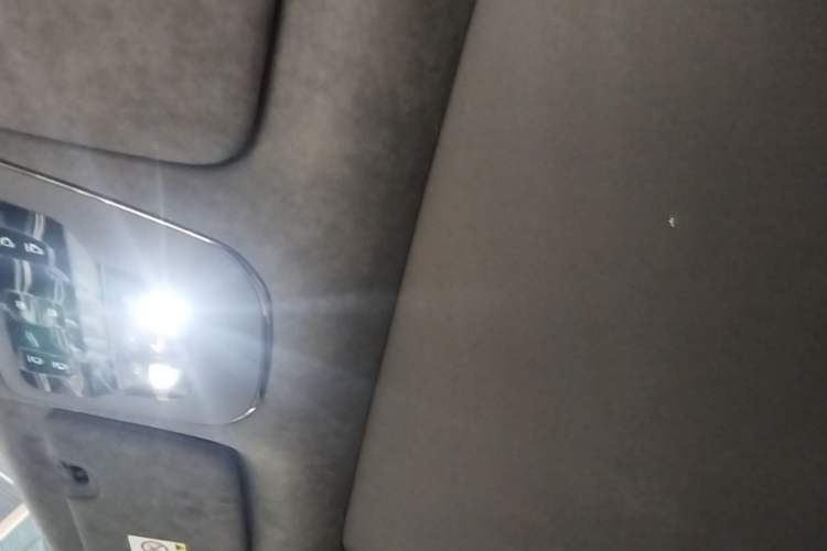 Used Zeekr 009 2022 WE Edition Headliner