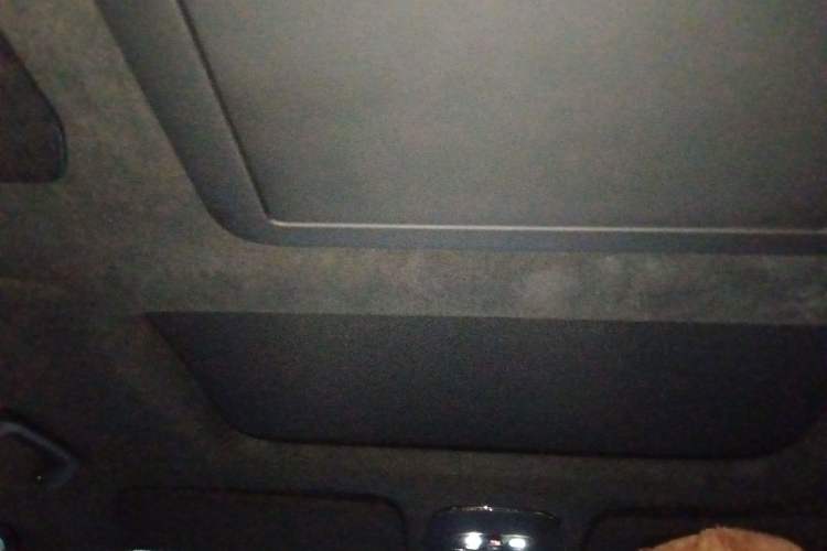 Used Zeekr 009 2022 WE Edition Headliner