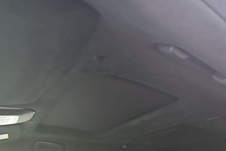Used Zeekr 009 2022 WE Edition Headliner