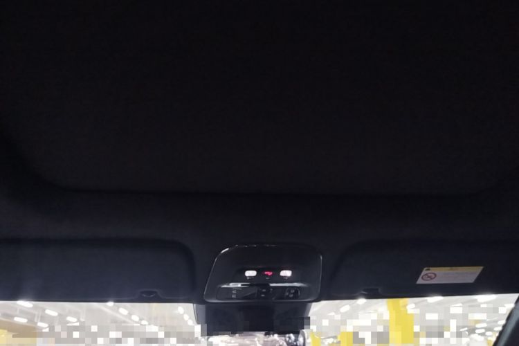 Used Zeekr 009 2022 Revised WE Version Headliner