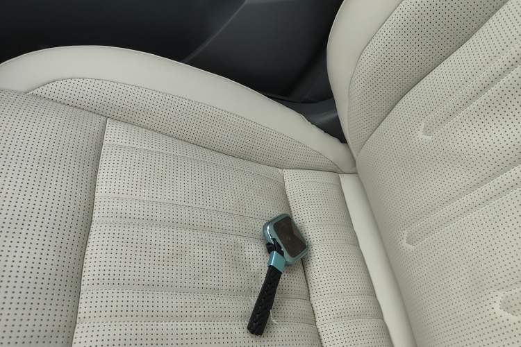Used Zeekr 009 2022 WE Edition Interior 1