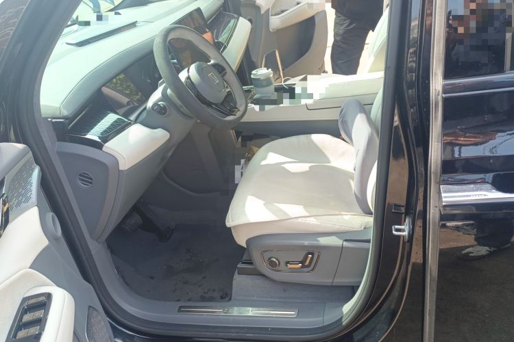 Used Zeekr 009 2022 WE Edition Left Front Seat