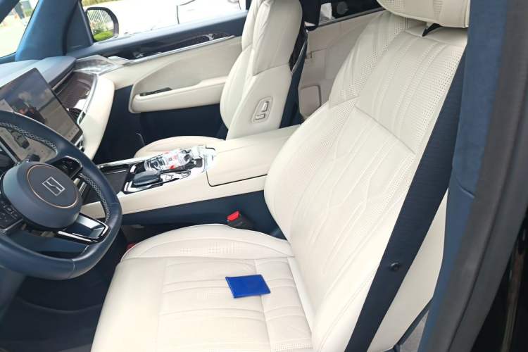 Used Zeekr 009 2022 WE Edition Left Front Seat