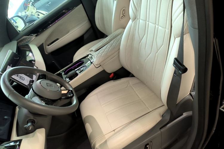 Used Zeekr 009 2022 WE Edition Left Front Seat