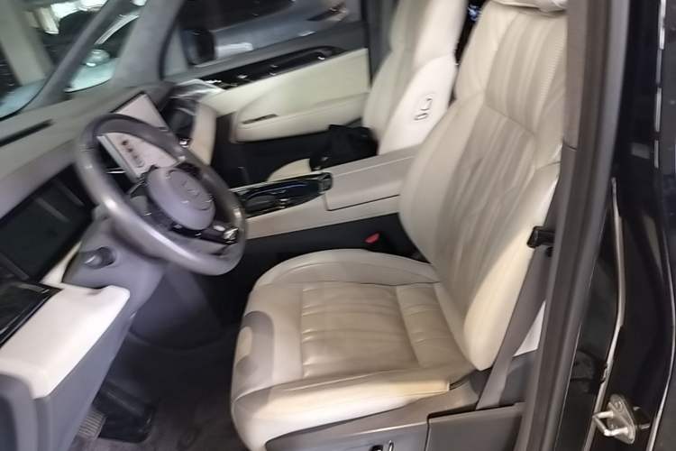 Used Zeekr 009 2022 WE Edition Left Front Seat