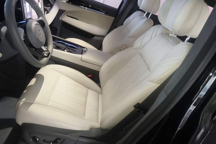 Used Zeekr 009 2022 WE Edition Left Front Seat