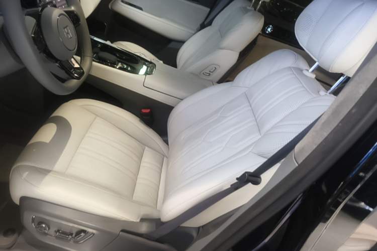 Used Zeekr 009 2022 WE Edition Left Front Seat