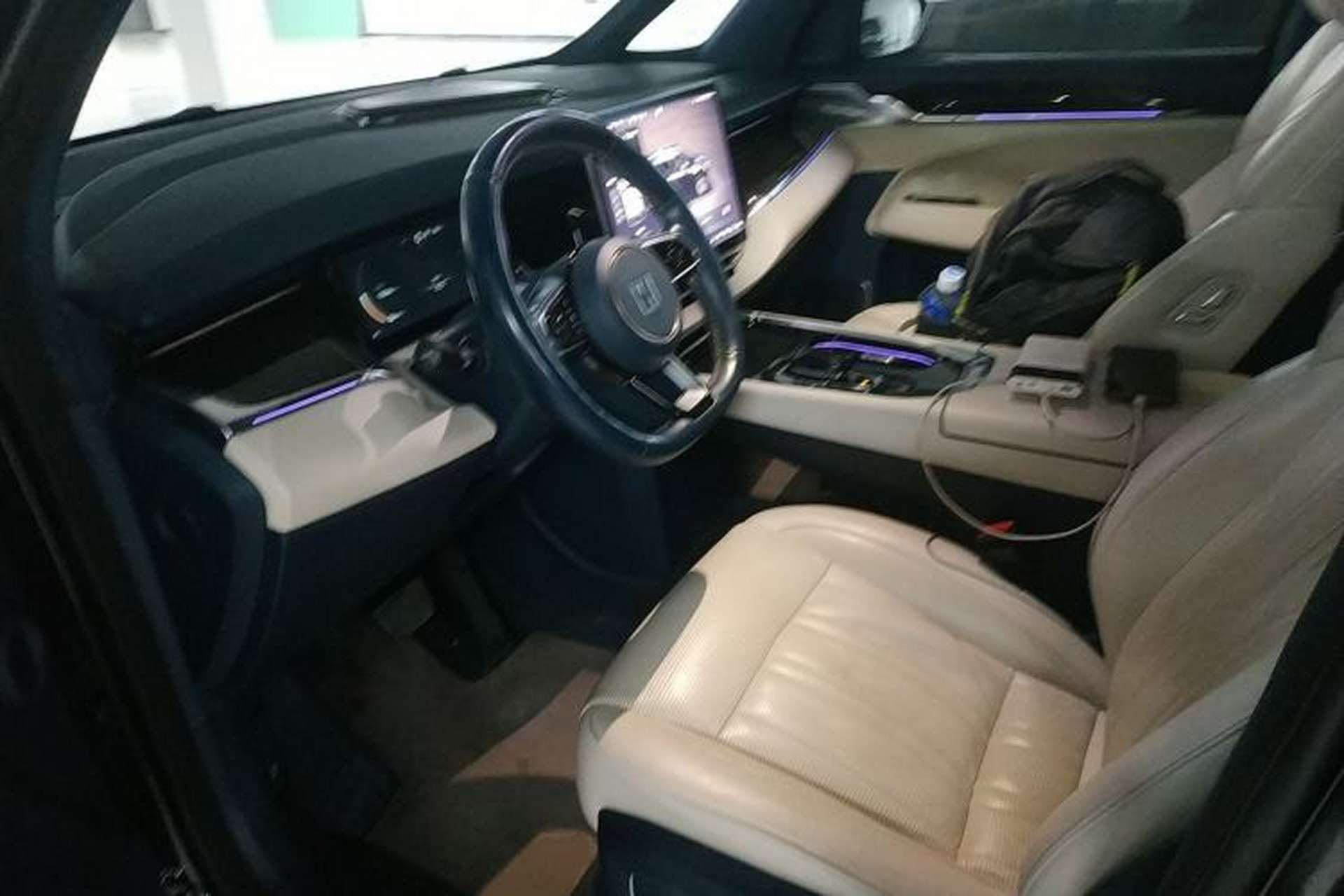 Used Zeekr 009 2022 WE Edition Left Front Seat