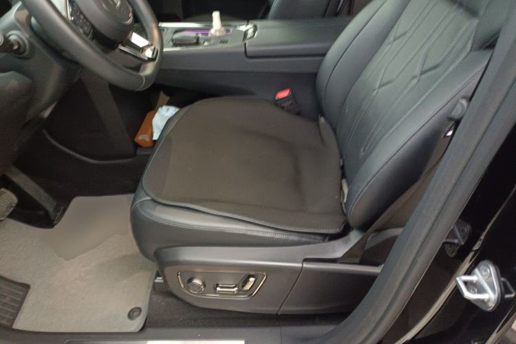 Used Zeekr 009 2022 WE Edition Left Front Seat