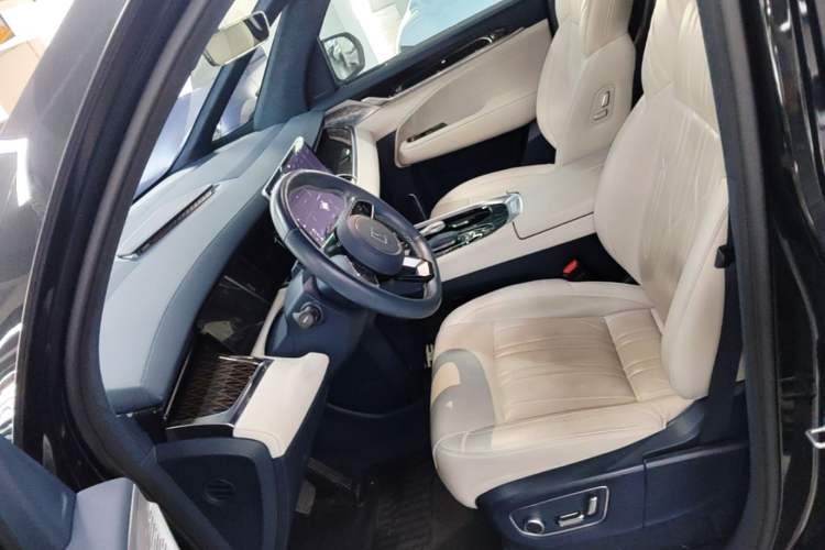 Used Zeekr 009 2022 WE Edition Left Front Seat