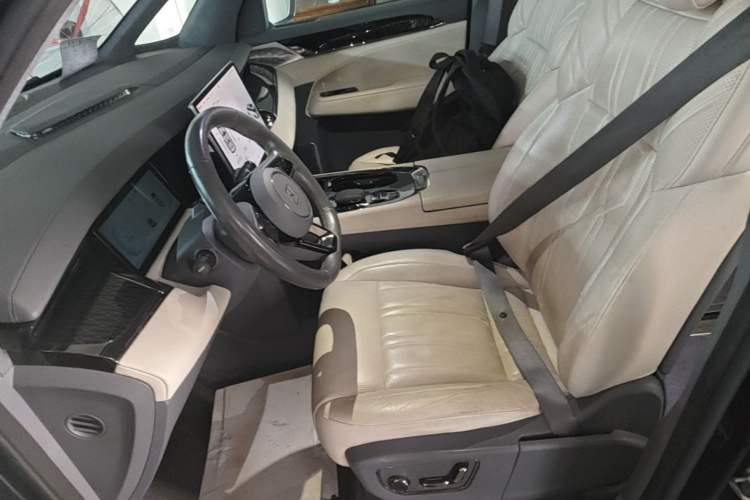 Used Zeekr 009 2022 WE Edition Left Front Seat