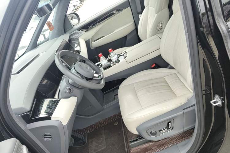 Used Zeekr 009 2022 WE Edition Left Front Seat