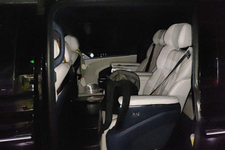 Used Zeekr 009 2022 Revised WE Version Left Rear Seat