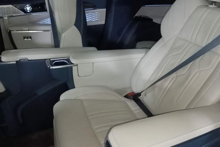 Used Zeekr 009 2022 WE Edition Left Rear Seat