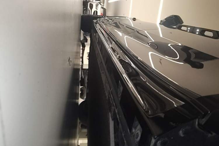 Used Zeekr 009 2022 Revised Model ME Edition Left Side Sill