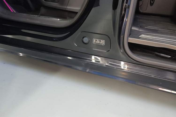 Used Zeekr 009 2022 WE Edition Left Side Sill