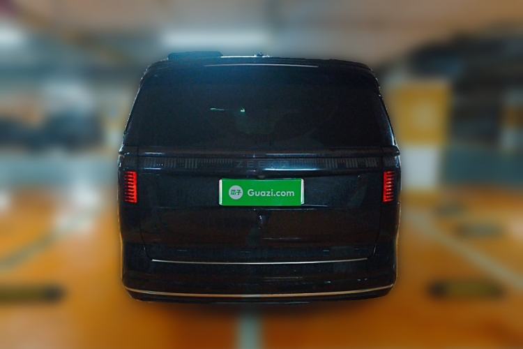 Used Zeekr 009 2022 WE Edition Rear