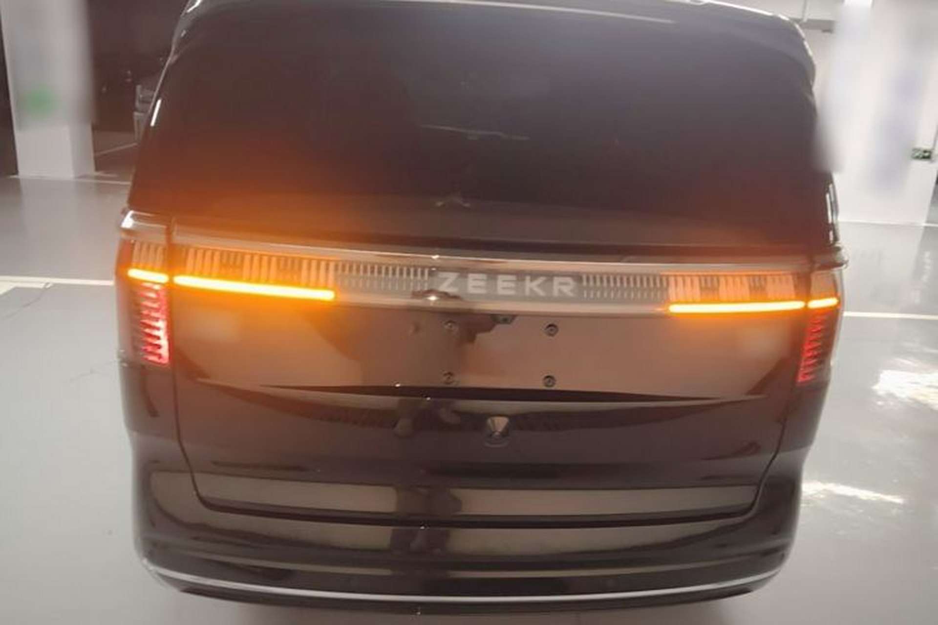 Used Zeekr 009 2022 WE Edition Rear