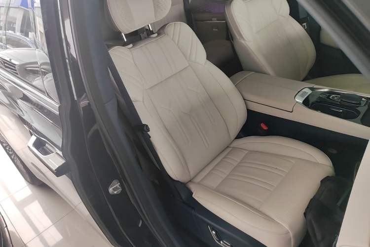 Used Zeekr 009 2022 WE Edition Right Front Seat