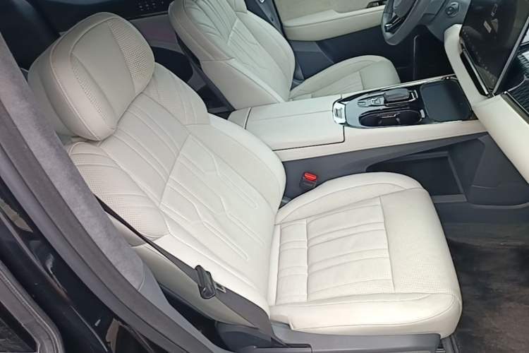 Used Zeekr 009 2022 WE Edition Right Front Seat
