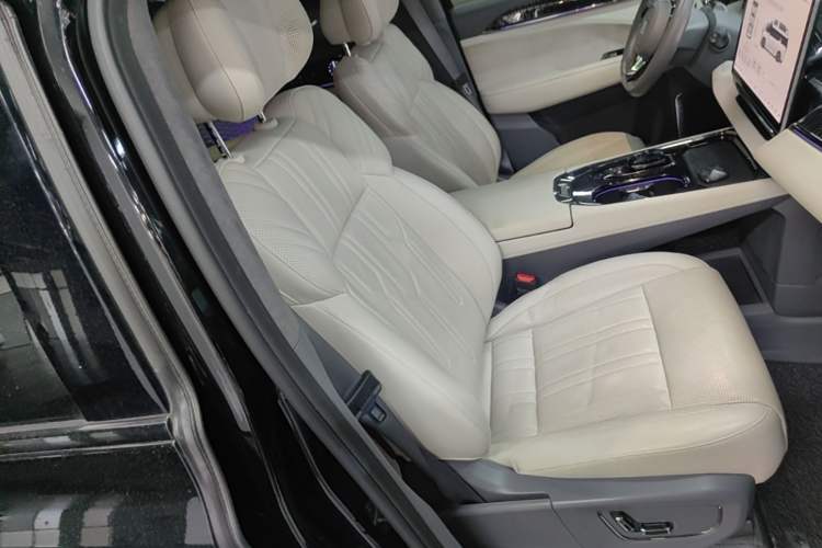 Used Zeekr 009 2022 WE Edition Right Front Seat
