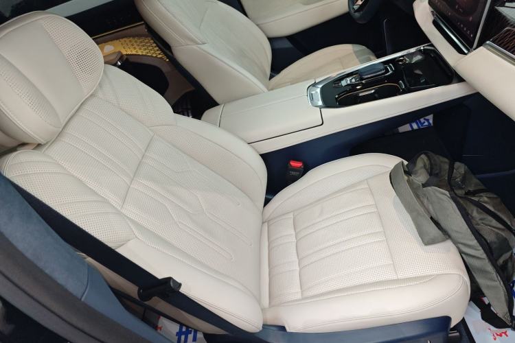 Used Zeekr 009 2022 WE Edition Right Front Seat