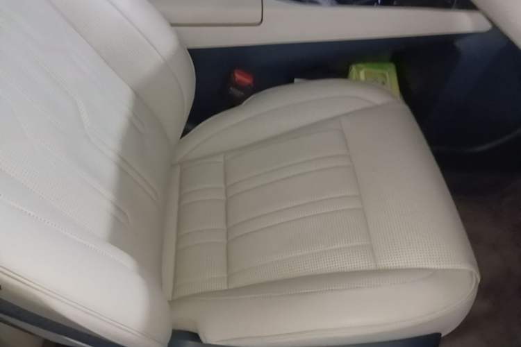 Used Zeekr 009 2022 WE Edition Right Front Seat