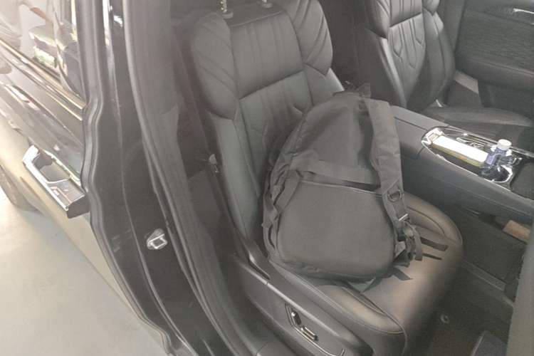 Used Zeekr 009 2022 WE Edition Right Front Seat