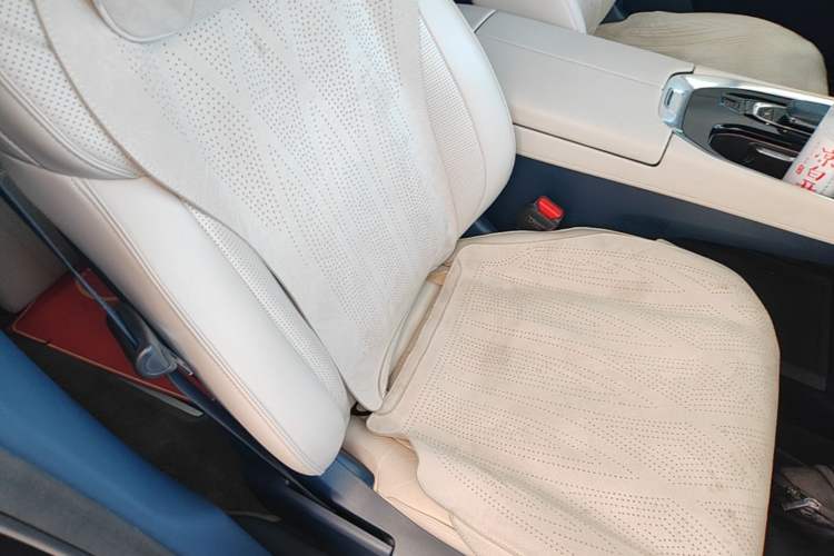 Used Zeekr 009 2022 WE Edition Right Front Seat