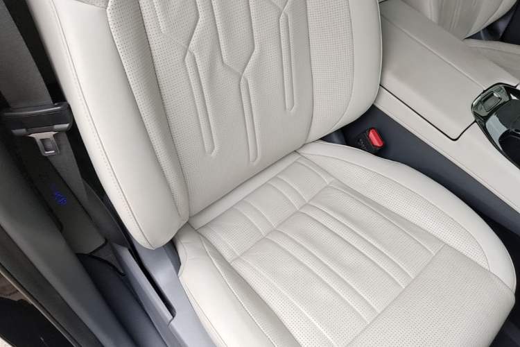 Used Zeekr 009 2022 WE Edition Right Front Seat