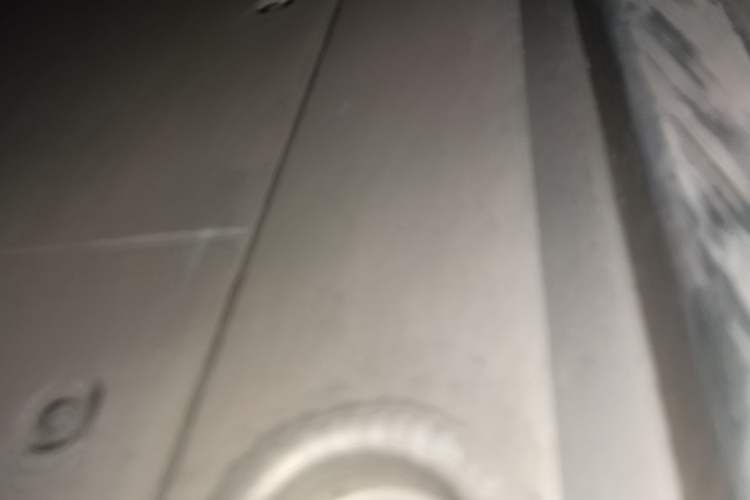 Used Zeekr 009 2022 WE Edition Right Side Sill
