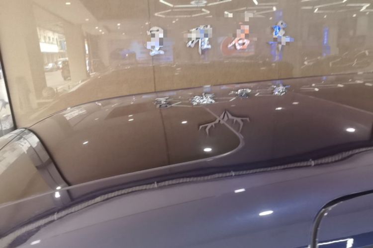 Used Zeekr 009 2022 WE Edition Roof