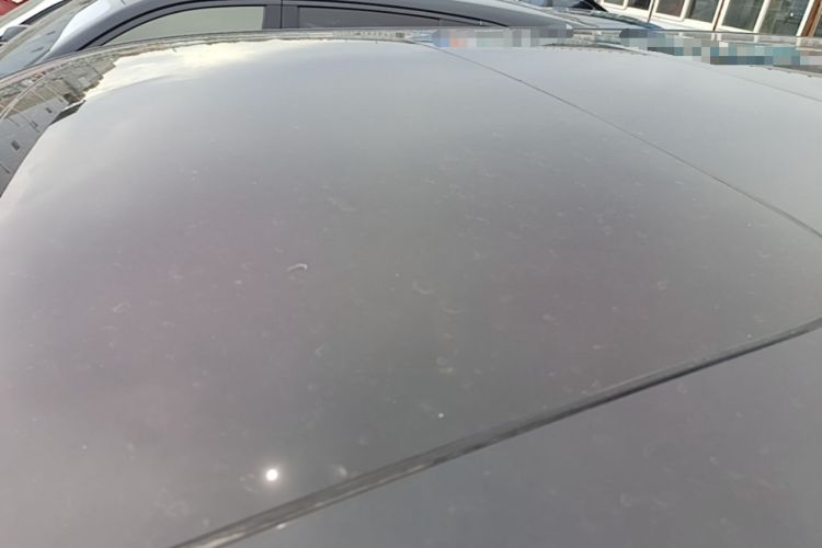 Used Zeekr 009 2022 WE Edition Roof