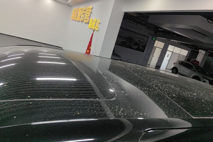 Used Zeekr 009 2022 WE Edition Roof