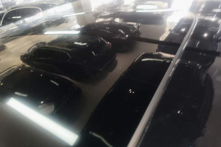 Used Zeekr 009 2022 WE Edition Roof