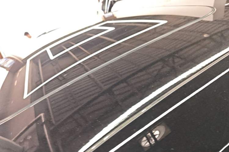 Used Zeekr 009 2022 WE Edition Roof