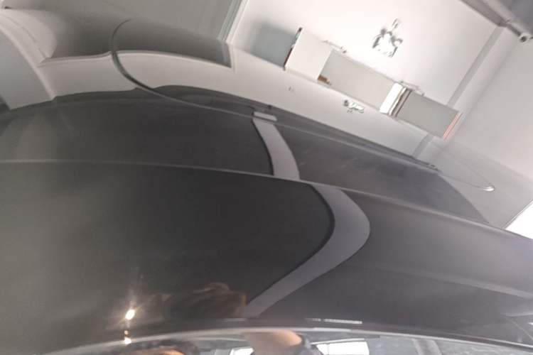 Used Zeekr 009 2022 WE Edition Roof
