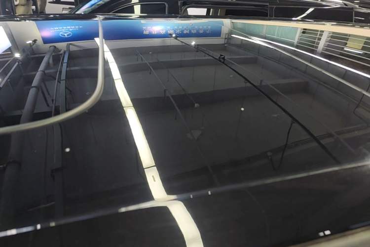 Used Zeekr 009 2022 ME Edition Roof