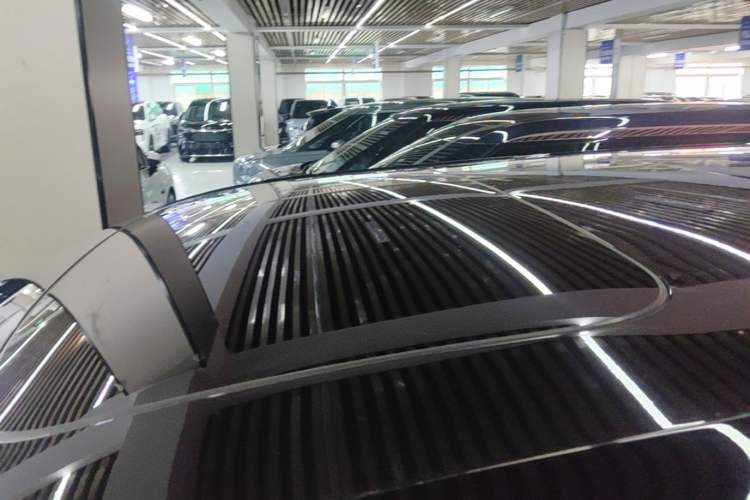 Used Zeekr 009 2022 WE Edition Roof
