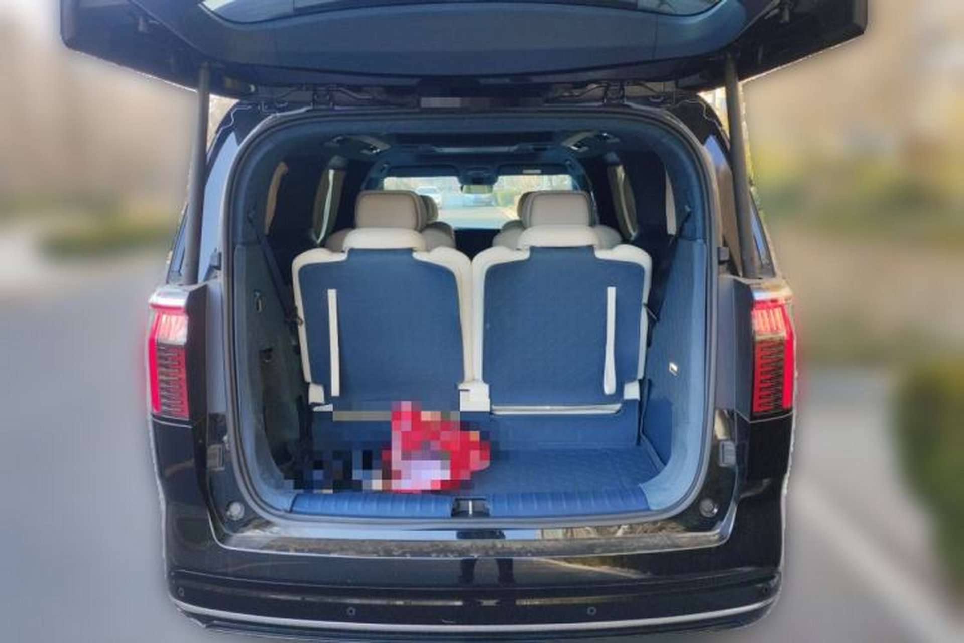 Used Zeekr 009 2022 WE Edition Trunk