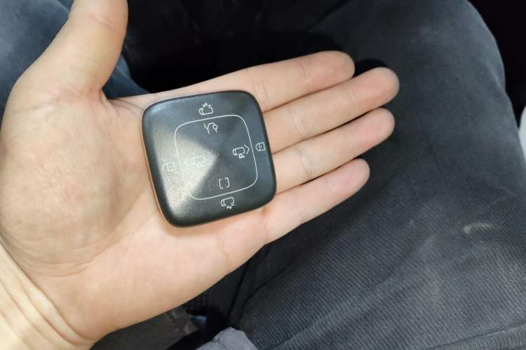 Used Zeekr 009 2022 WE Edition Vehicle Key