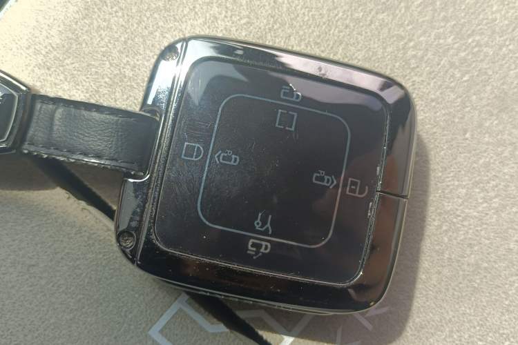 Used Zeekr 009 2022 WE Edition Vehicle Key