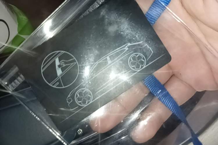 Used Zeekr 009 2022 WE Edition Vehicle Key