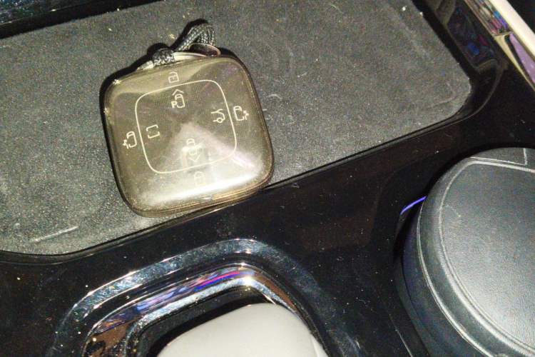Used Zeekr 009 2022 WE Edition Vehicle Key