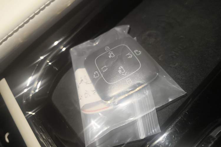 Used Zeekr 009 2022 WE Edition Vehicle Key