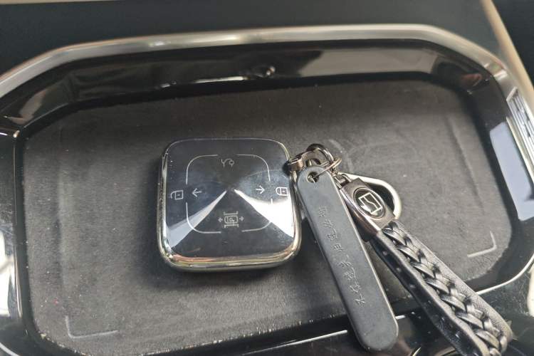 Used Zeekr 009 2022 Revised WE Version Vehicle Key