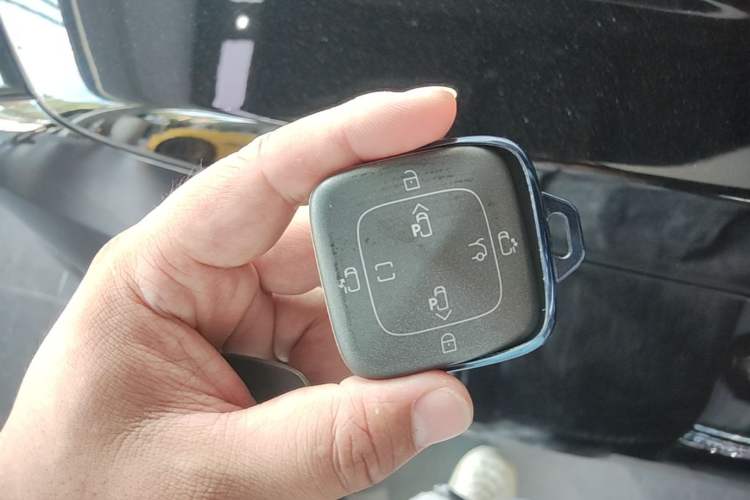 Used Zeekr 009 2022 WE Edition Vehicle Key
