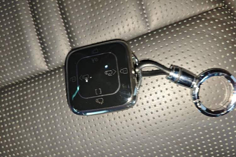 Used Zeekr 009 2022 Revised WE Version Vehicle Key