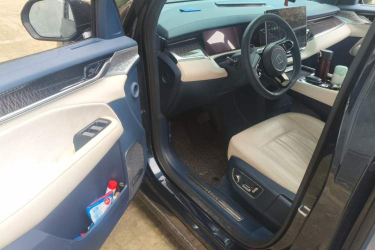 Used Zeekr 009 2022 WE Edition Driver Seat